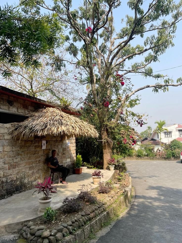 Best Cafés in Shillong