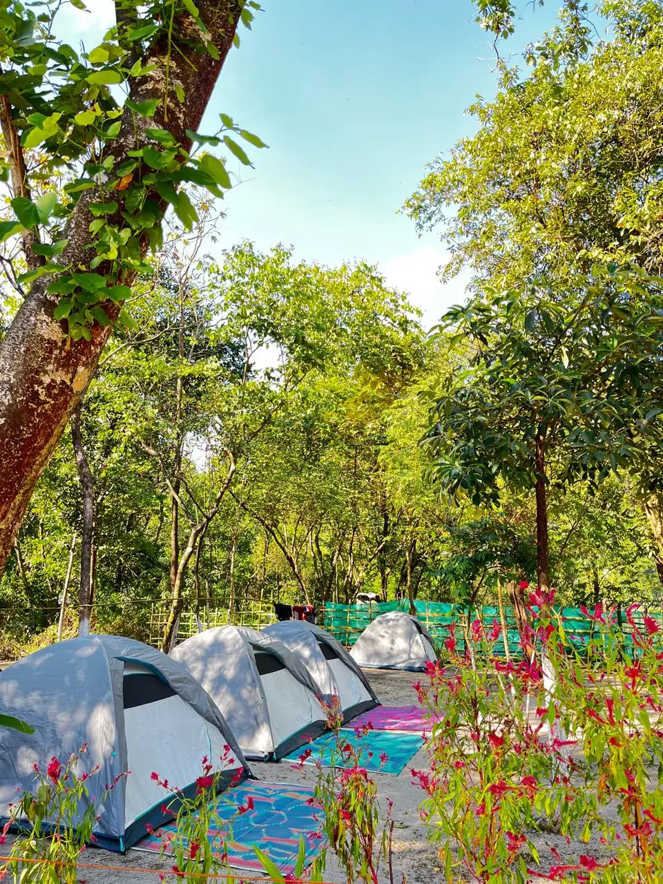Dawki partner campsite photo 1
