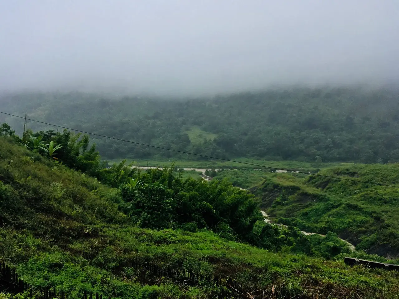 Lush green hillside landscape in foggy Karbi Anglong, India, perfect for nature lovers.