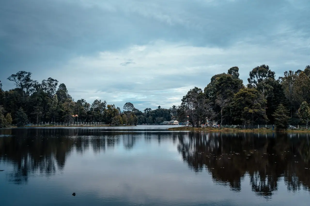 Calm and scenic landscape of Kodaikanal Lake with lush green trees and clear water reflections.